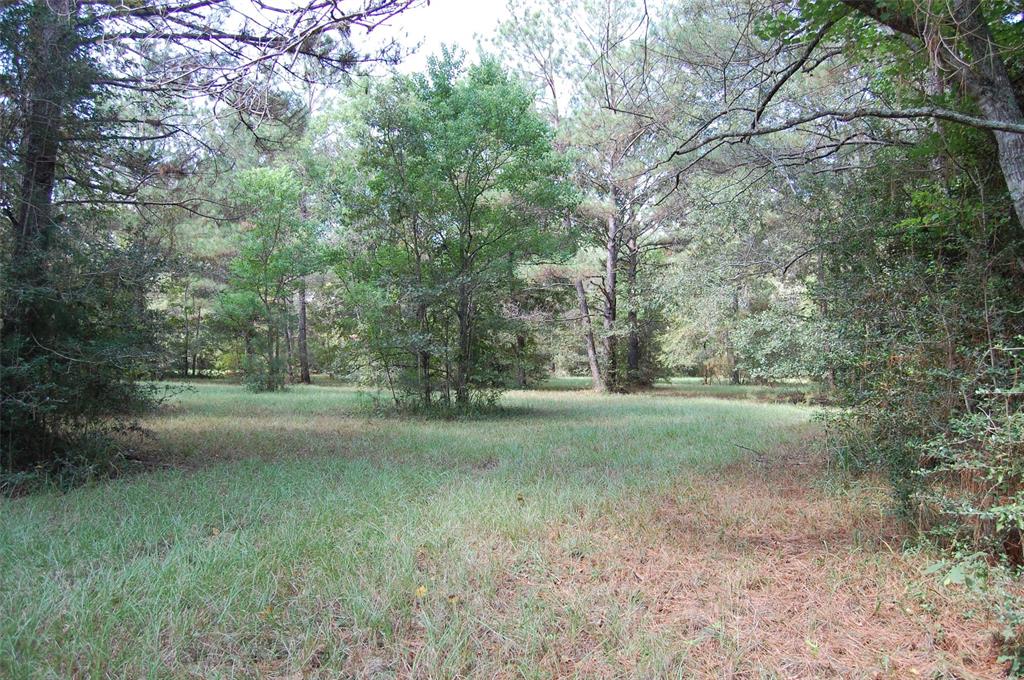 20075 Forestview Drive, Magnolia, Texas image 17