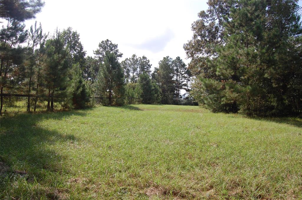 20075 Forestview Drive, Magnolia, Texas image 19