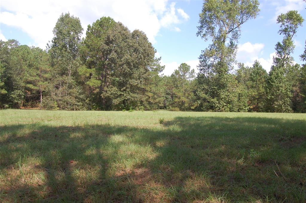 20075 Forestview Drive, Magnolia, Texas image 22