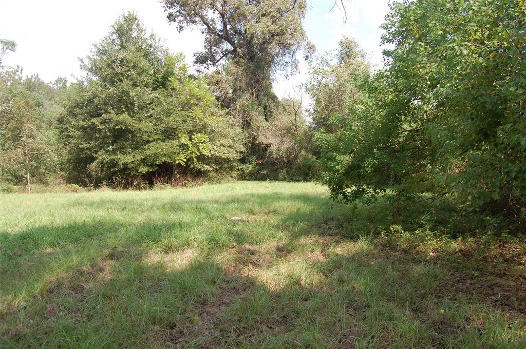 20075 Forestview Drive, Magnolia, Texas image 2