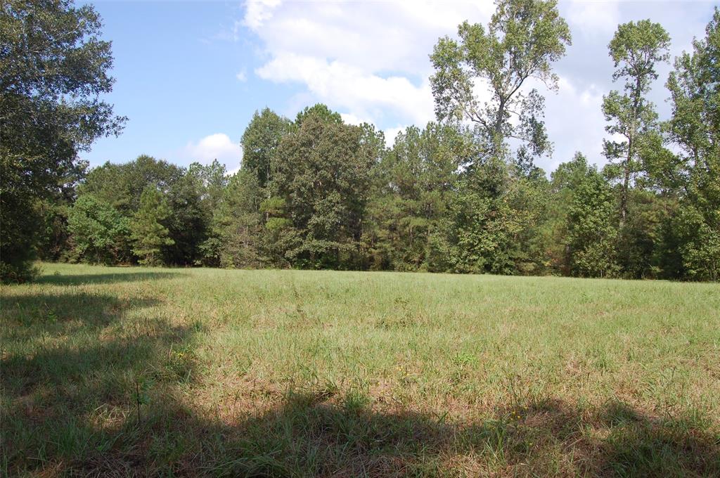 20075 Forestview Drive, Magnolia, Texas image 3