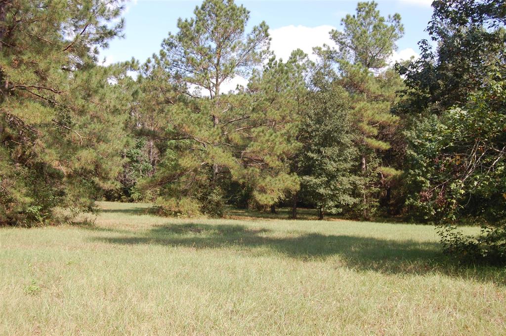 20075 Forestview Drive, Magnolia, Texas image 25