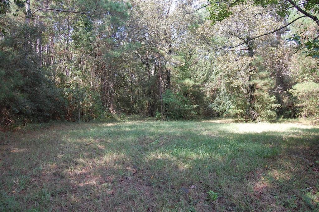 20075 Forestview Drive, Magnolia, Texas image 14