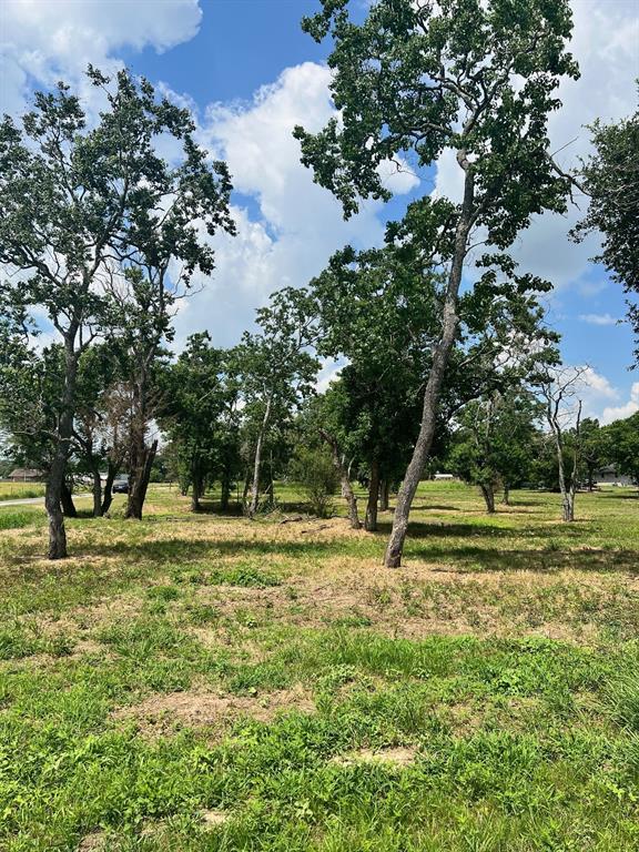 Old San Felipe Road, Sealy, Texas image 5