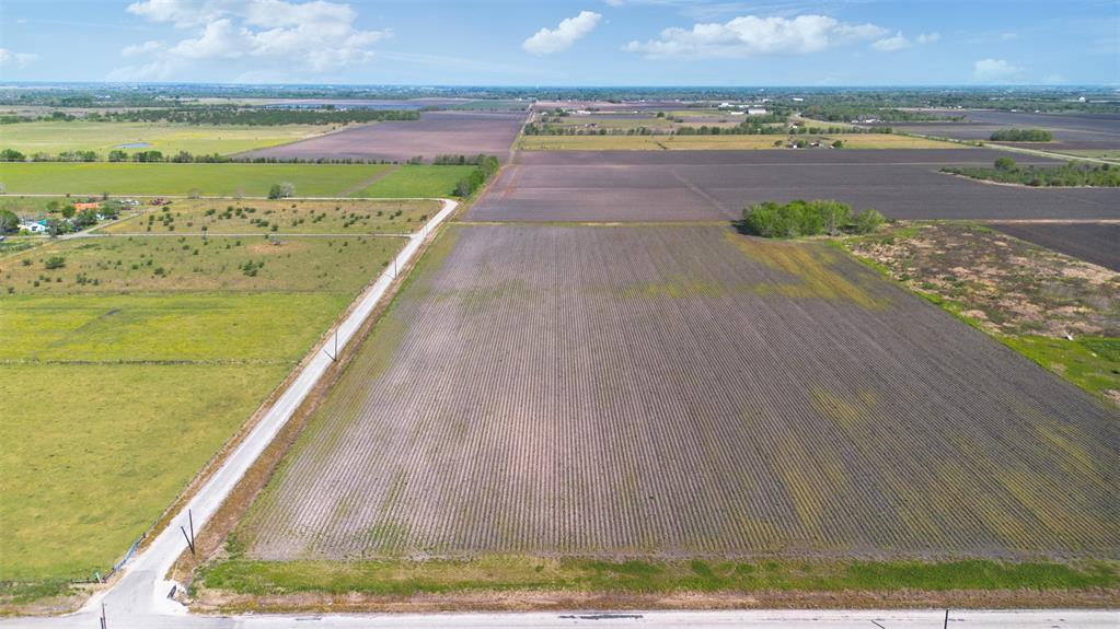 Pink Taylor Run Road, Beasley, Texas image 3