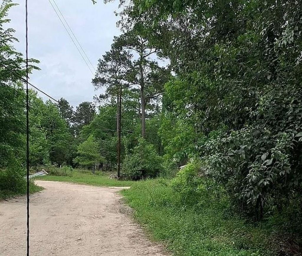 Photo of 66 Dogwood Lane, Porter, TX 77365 (MLS # 46170204)