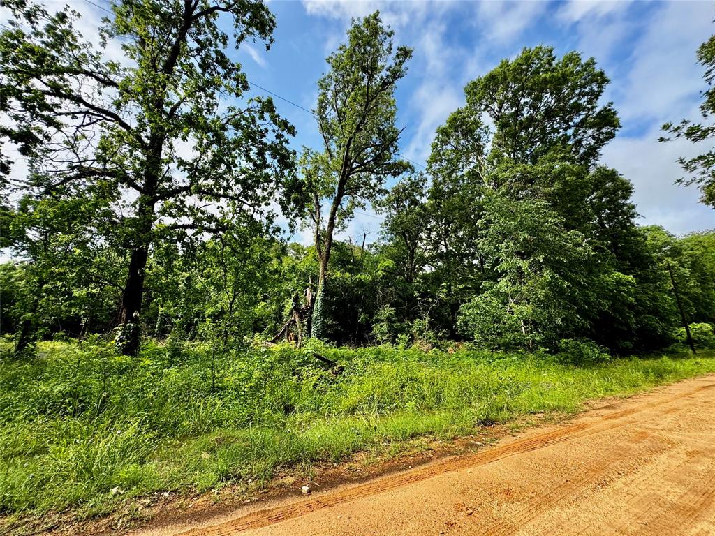 TBD Mudd St, Coldspring, Texas image 1