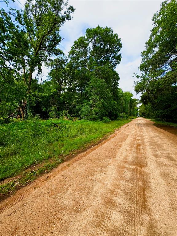 TBD Mudd St, Coldspring, Texas image 3