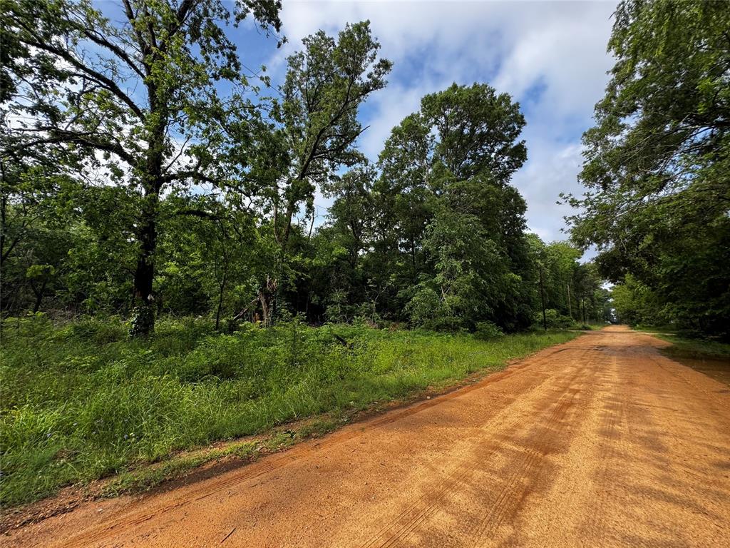 TBD Mudd St, Coldspring, Texas image 6