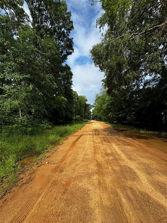 TBD Mudd St, Coldspring, Texas image 11
