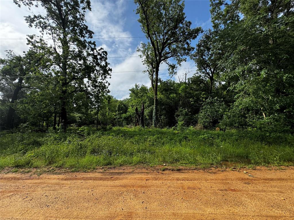 TBD Mudd St, Coldspring, Texas image 10
