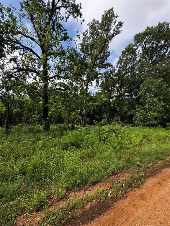 TBD Mudd St, Coldspring, Texas image 4