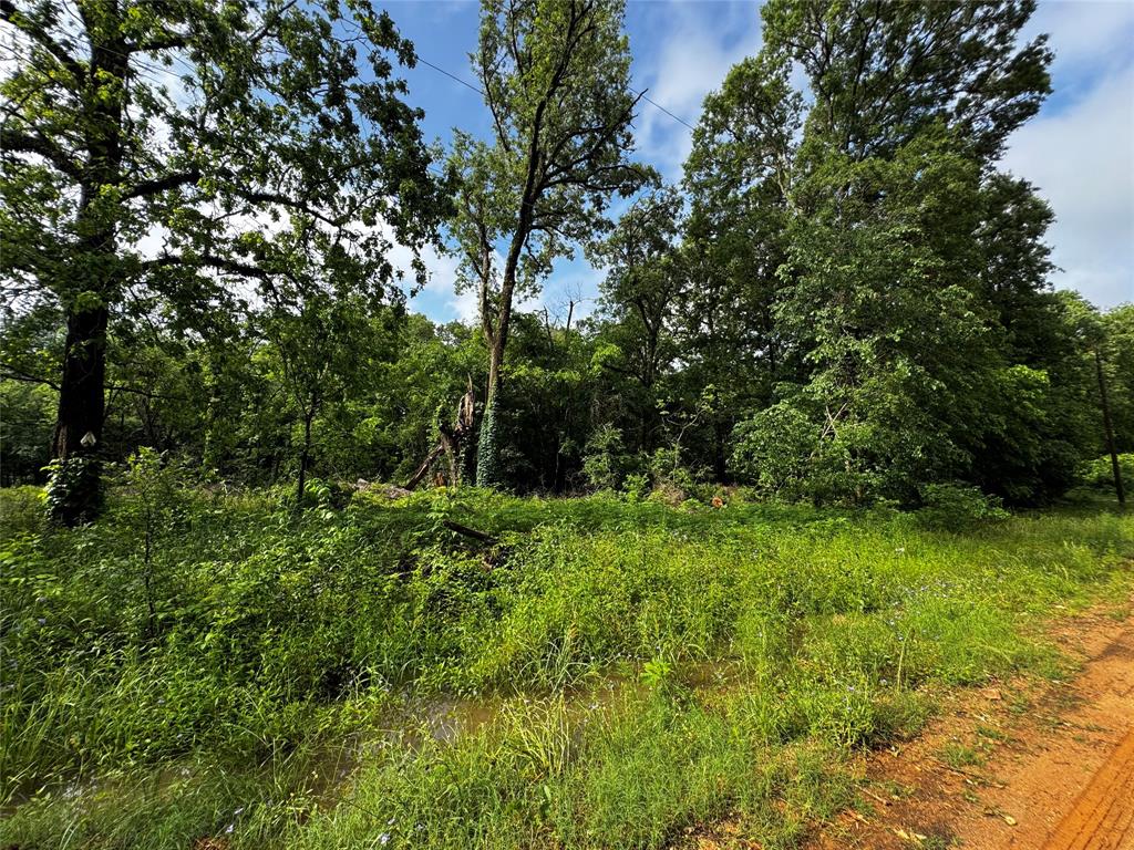 TBD Mudd St, Coldspring, Texas image 8