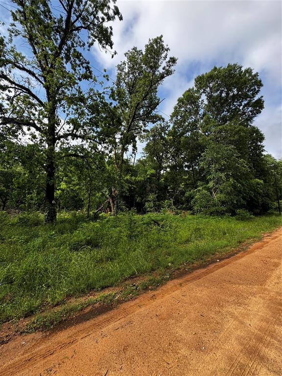 TBD Mudd St, Coldspring, Texas image 5