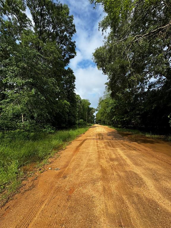 TBD Mudd St, Coldspring, Texas image 9