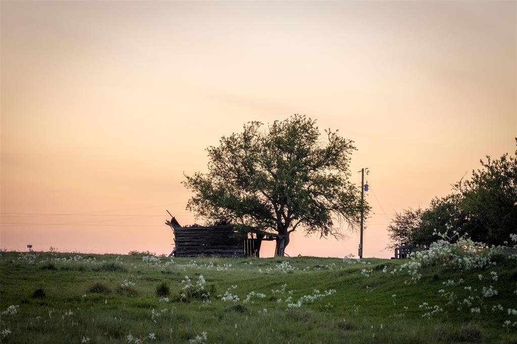 571 Vineyard View Trail Trl, Carmine, Texas image 8