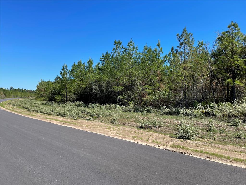 15702 Ridge Rock Road, Willis, Texas image 6