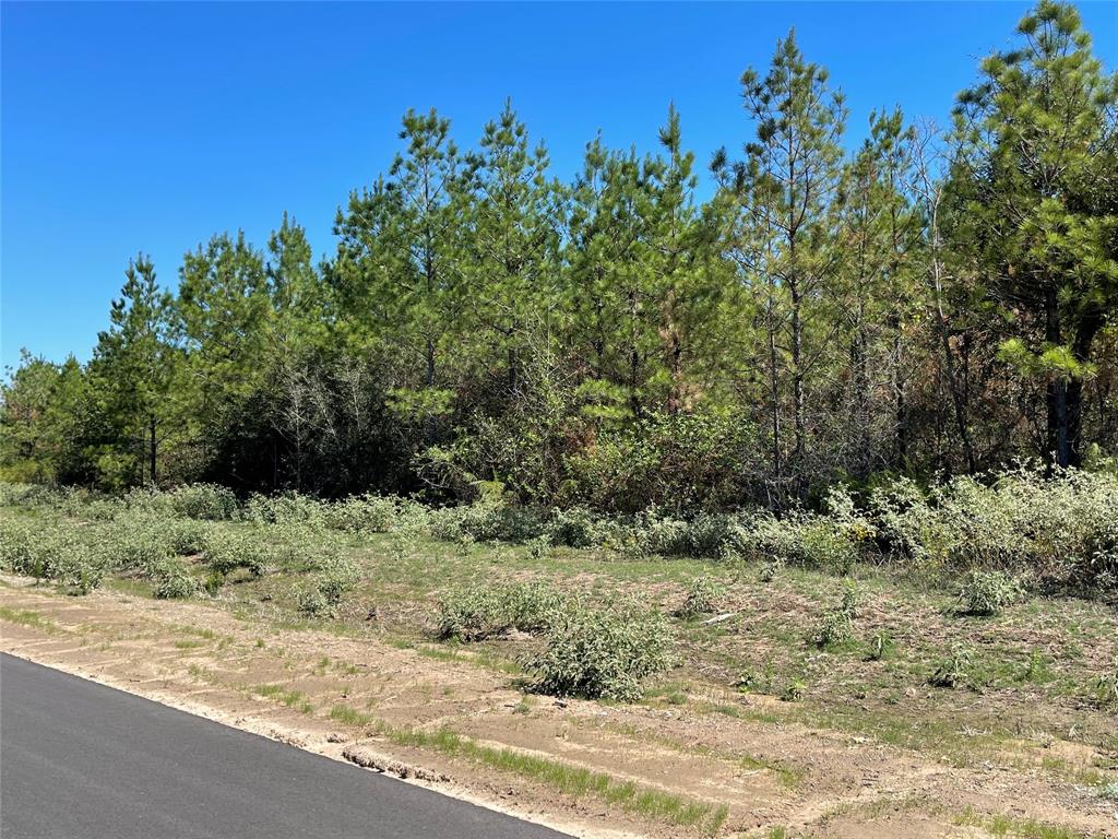 15702 Ridge Rock Road, Willis, Texas image 5