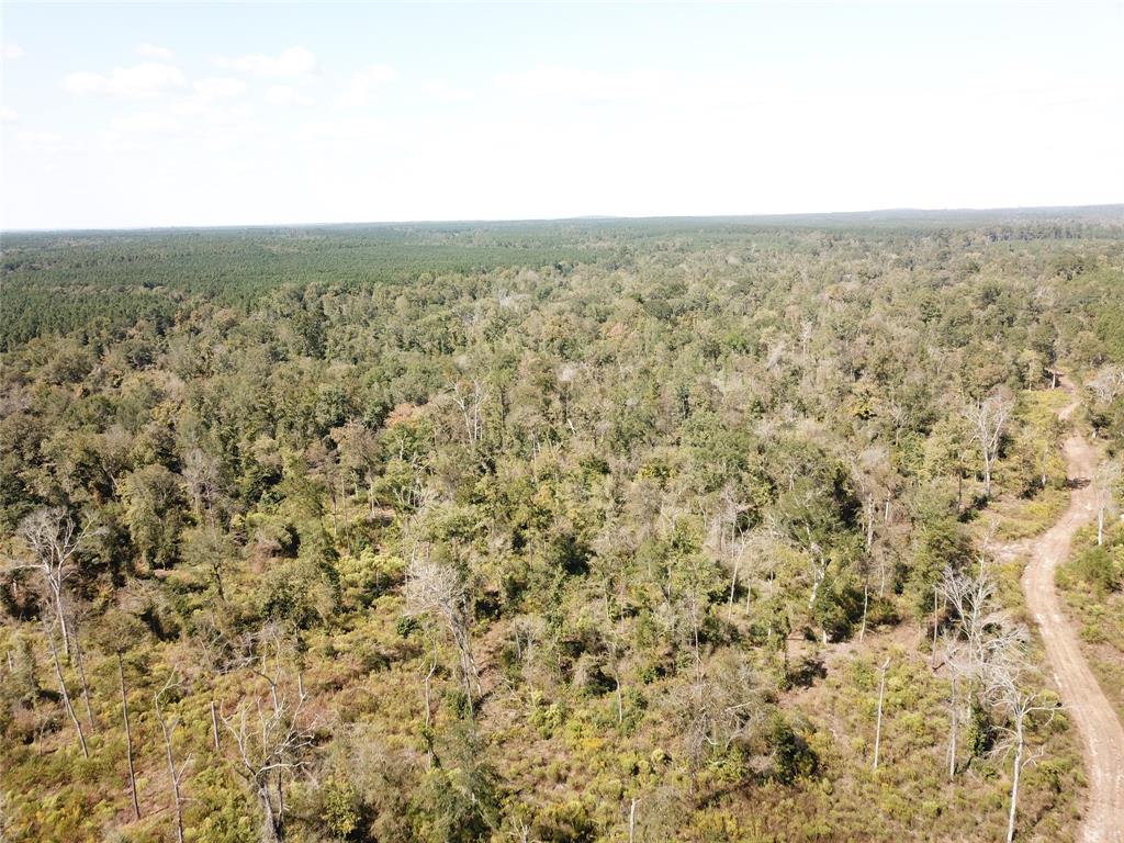 00 Evans Gann Road, Lufkin, Texas image 4