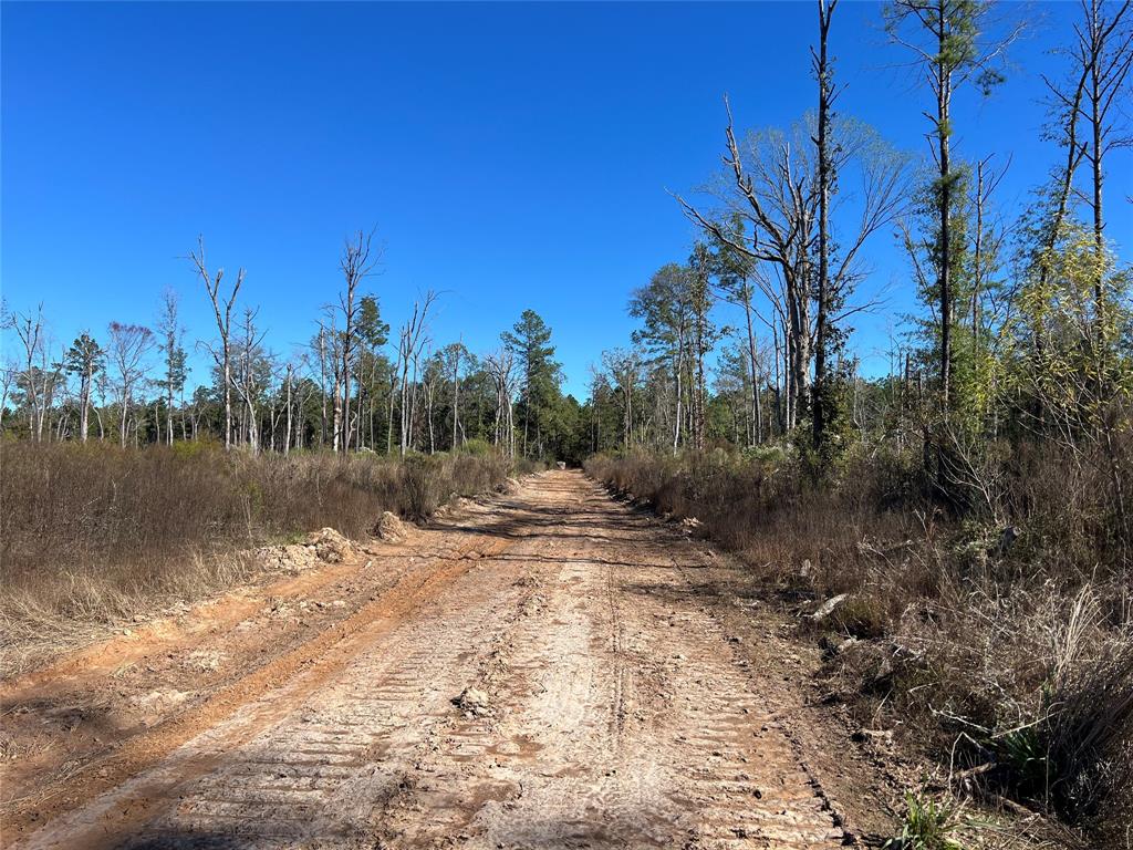 00 Evans Gann Road, Lufkin, Texas image 1