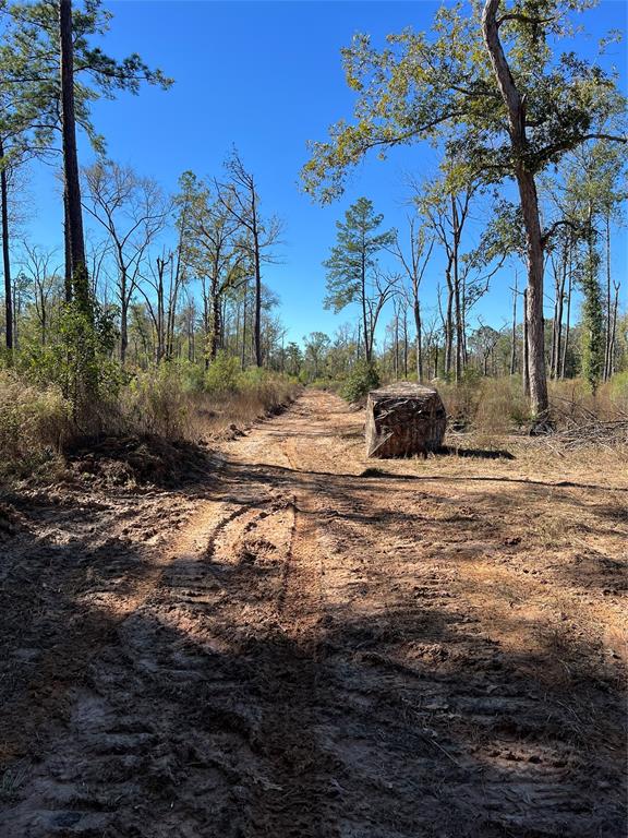 00 Evans Gann Road, Lufkin, Texas image 15