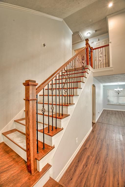 7022 Raven Cliffs Lane
