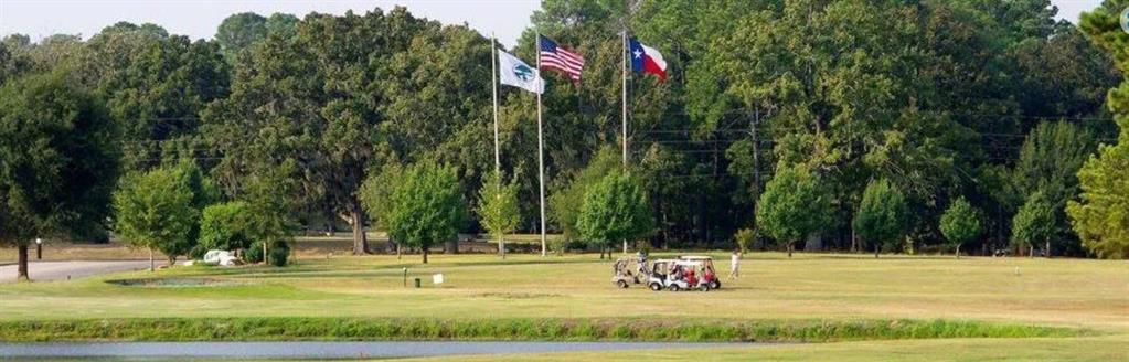 Lot 29 Spreading Oak, Trinity, Texas image 4