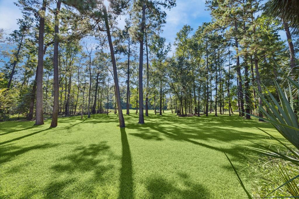 32919 Couples Court, Magnolia, Texas image 33