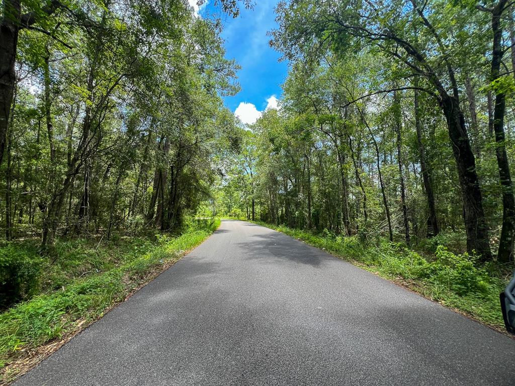 1 County Road 821, Mauriceville, Texas image 11