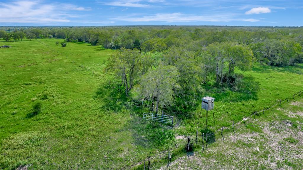 15631 Fm 682, Yoakum, Texas image 10