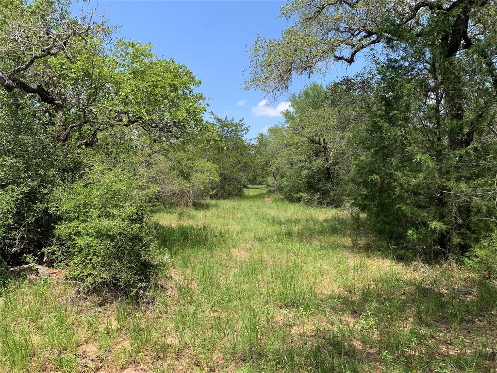 0000 Private Road 1581, Hallettsville, Texas image 12