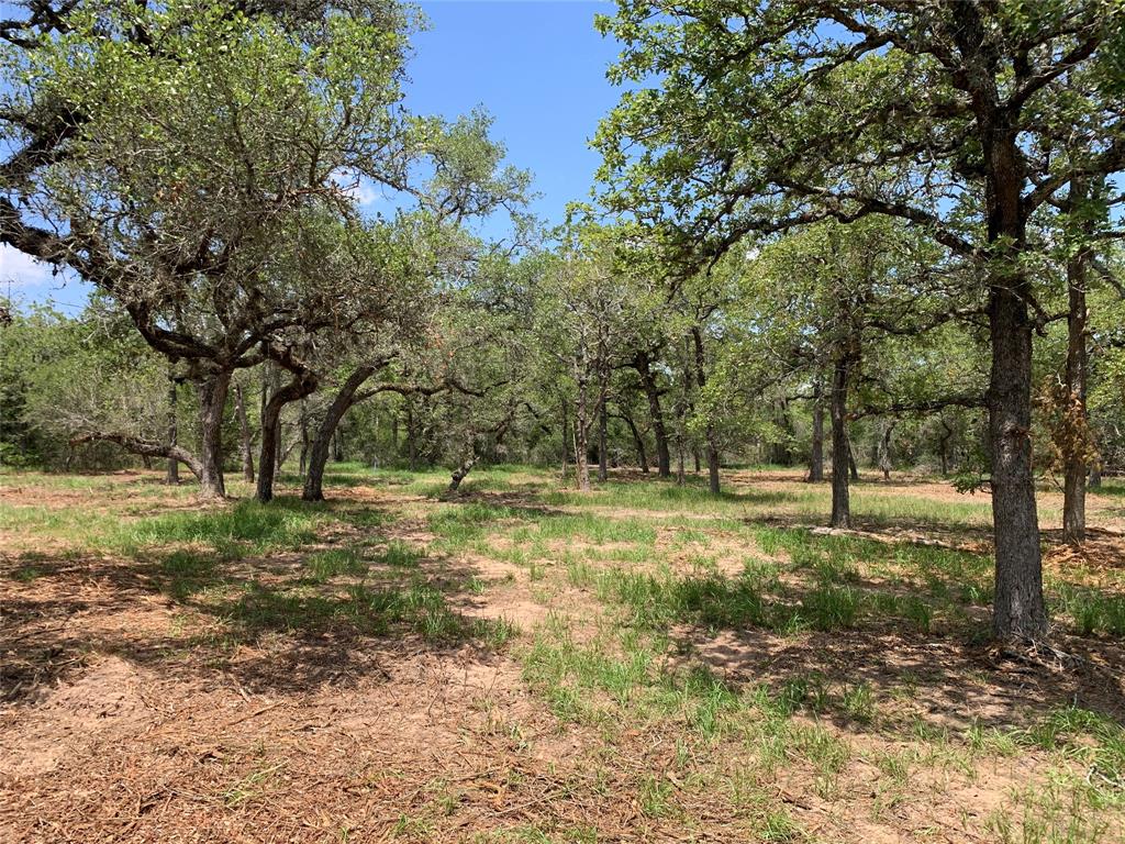 0000 Private Road 1581, Hallettsville, Texas image 4