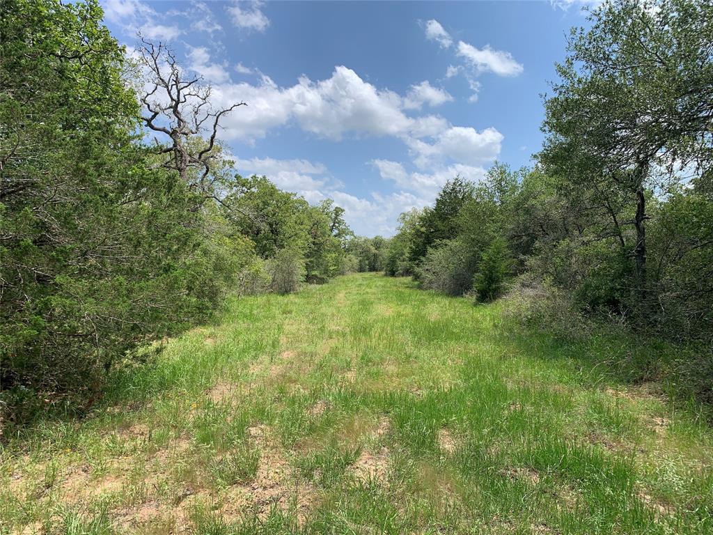 0000 Private Road 1581, Hallettsville, Texas image 18