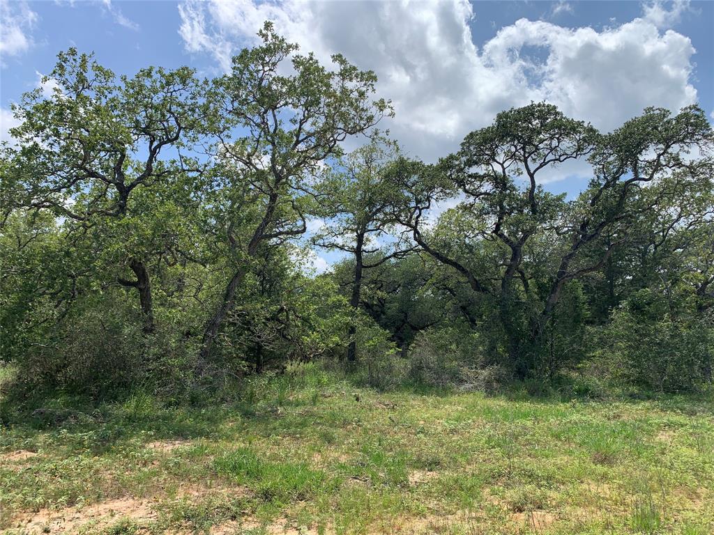 0000 Private Road 1581, Hallettsville, Texas image 8