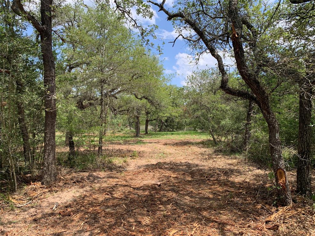 0000 Private Road 1581, Hallettsville, Texas image 15