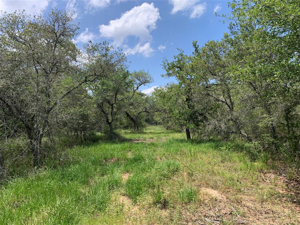 0000 Private Road 1581, Hallettsville, Texas image 9