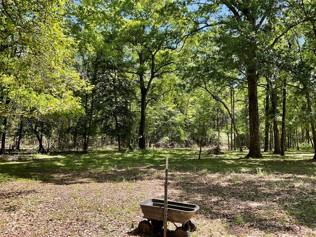 921 Brown Road, Willis, Texas image 34