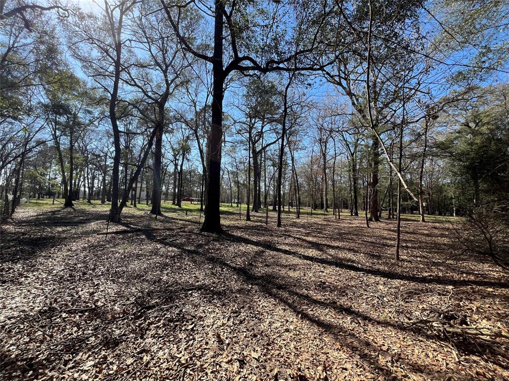 921 Brown Road, Willis, Texas image 21