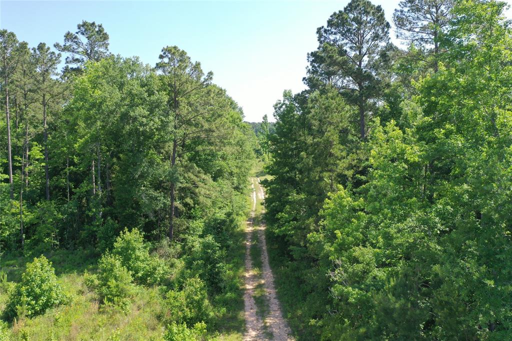 TBD Hwy 190 Highway, Oakhurst, Texas image 7