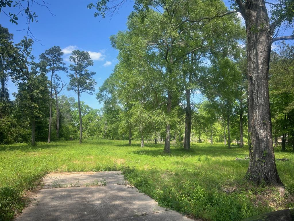 Kalka Road, Conroe, Texas image 1
