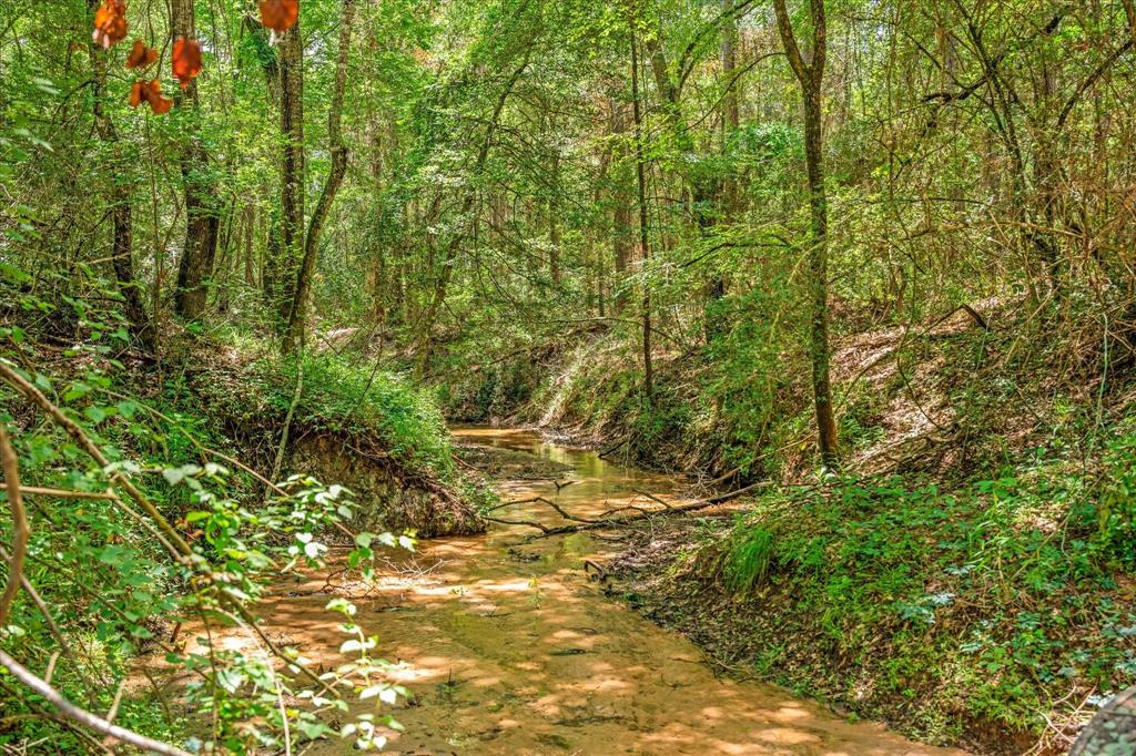 6888 County Road 344