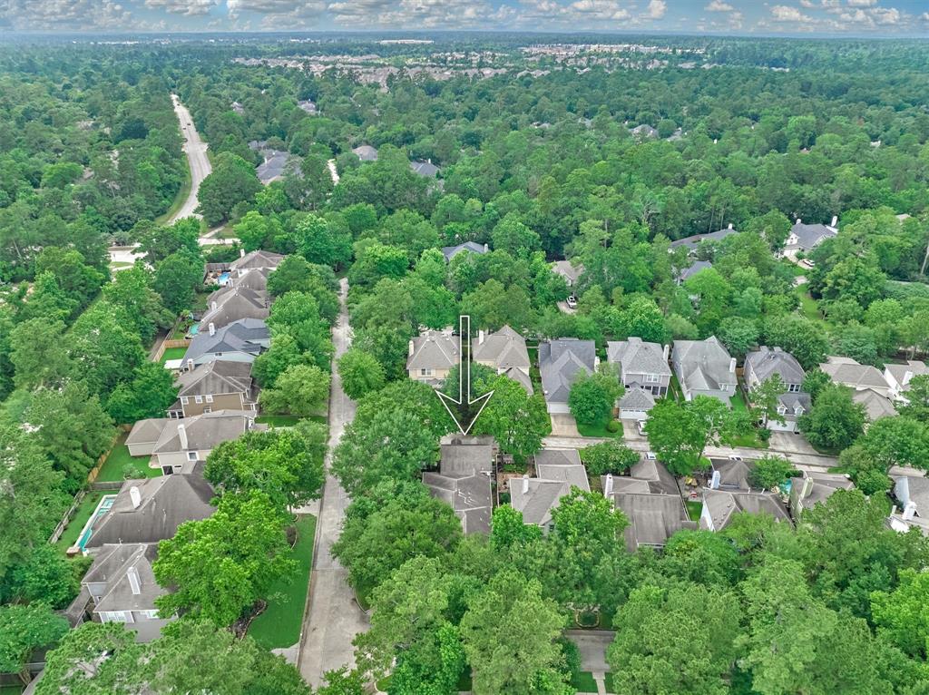 3 Ivy Garden Street, The Woodlands, Texas image 40