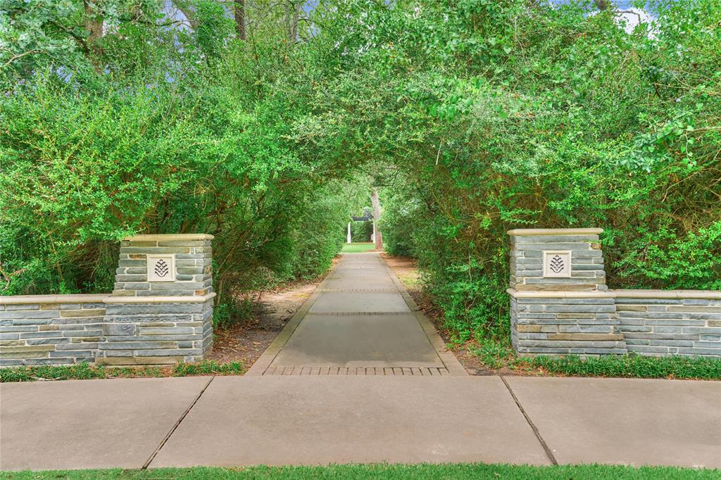 3 Ivy Garden Street, The Woodlands, Texas image 41