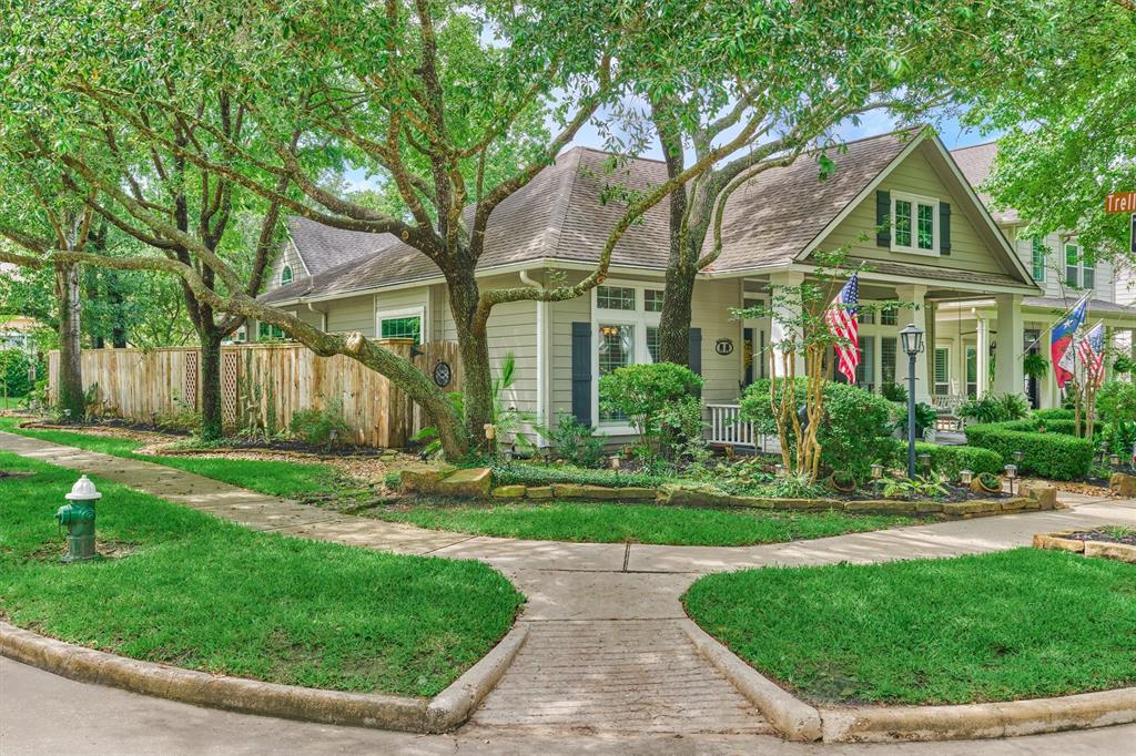 3 Ivy Garden Street, The Woodlands, Texas image 3