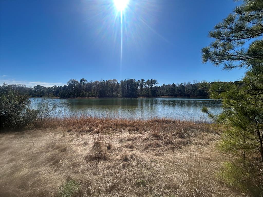 17760 Saddle Horn Drive, Waller, Texas image 6