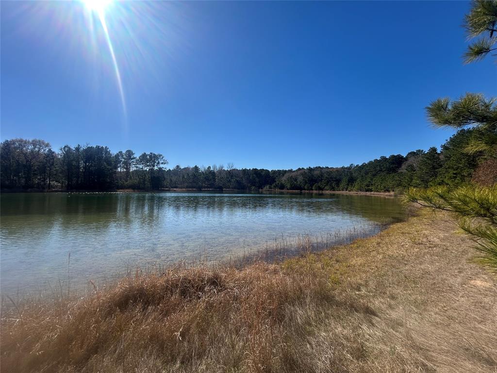 17760 Saddle Horn Drive, Waller, Texas image 4