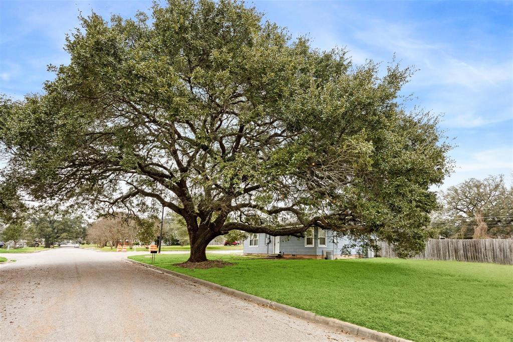 1445 Kosse Street, Hempstead, Texas image 4