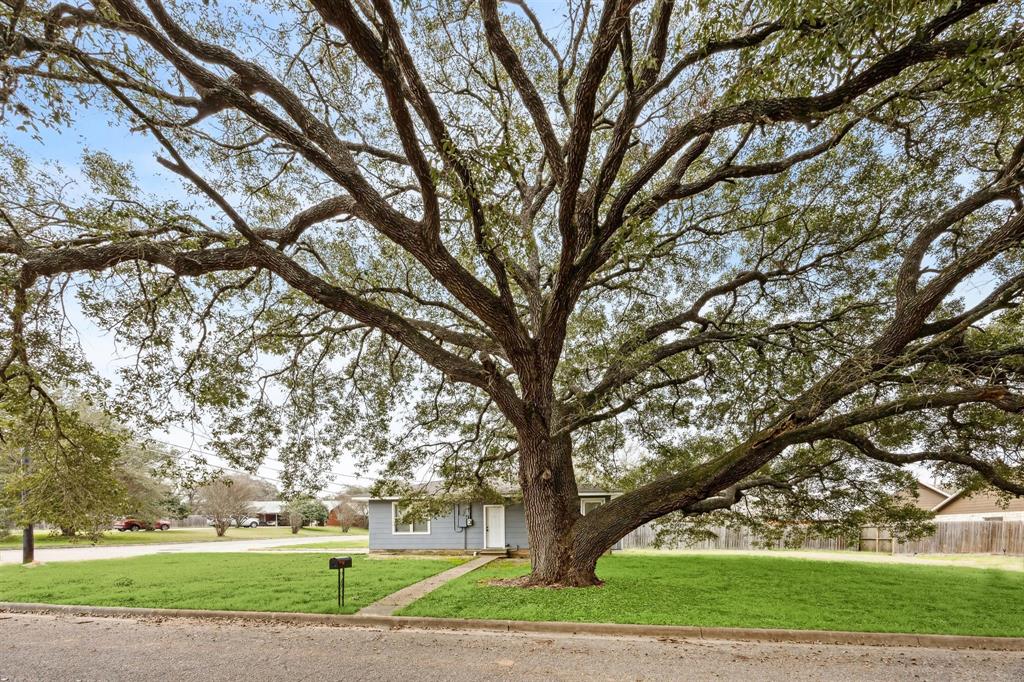 1445 Kosse Street, Hempstead, Texas image 3