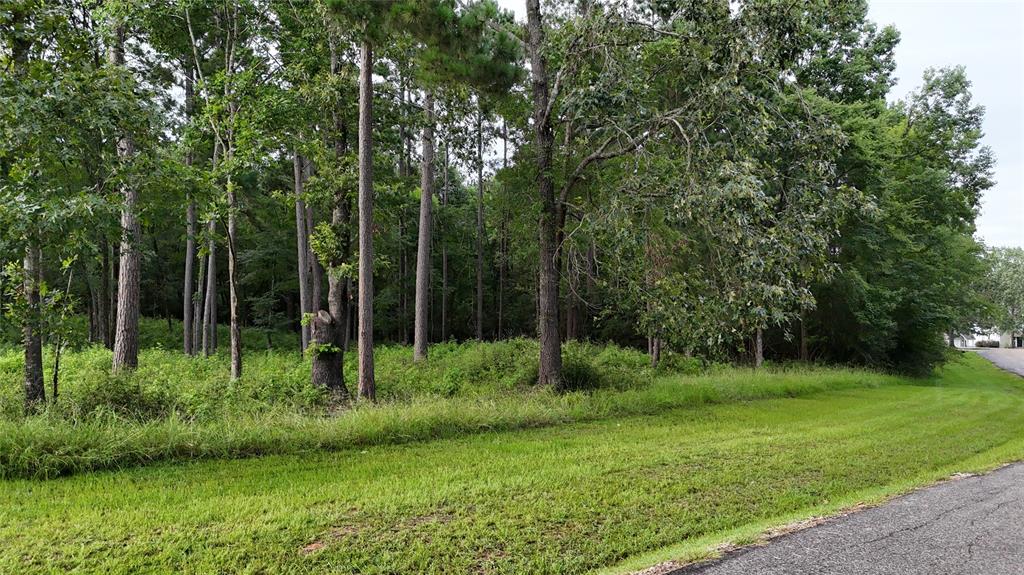 035 Naples Way