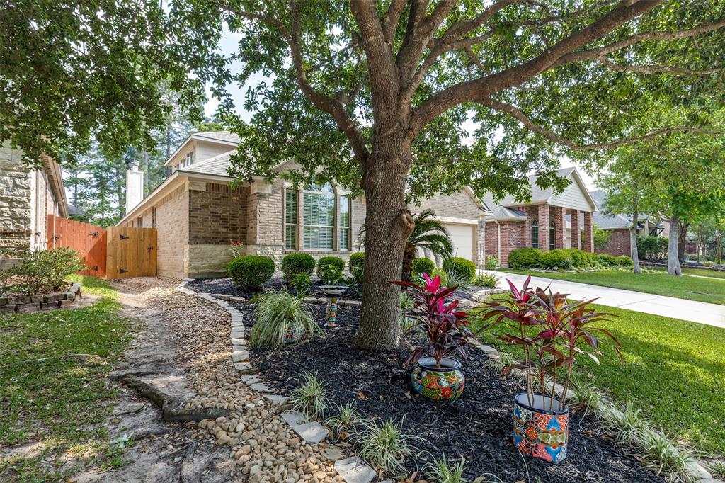 115 Clearmont Place, Montgomery, Texas image 3